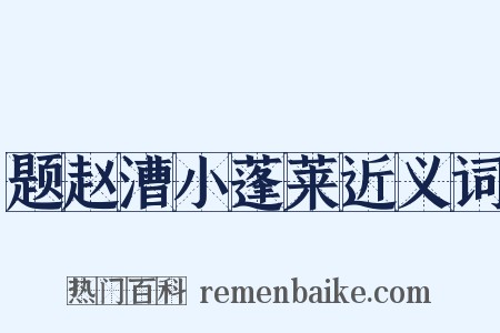 题赵漕小蓬莱近义词是什么意思的图片